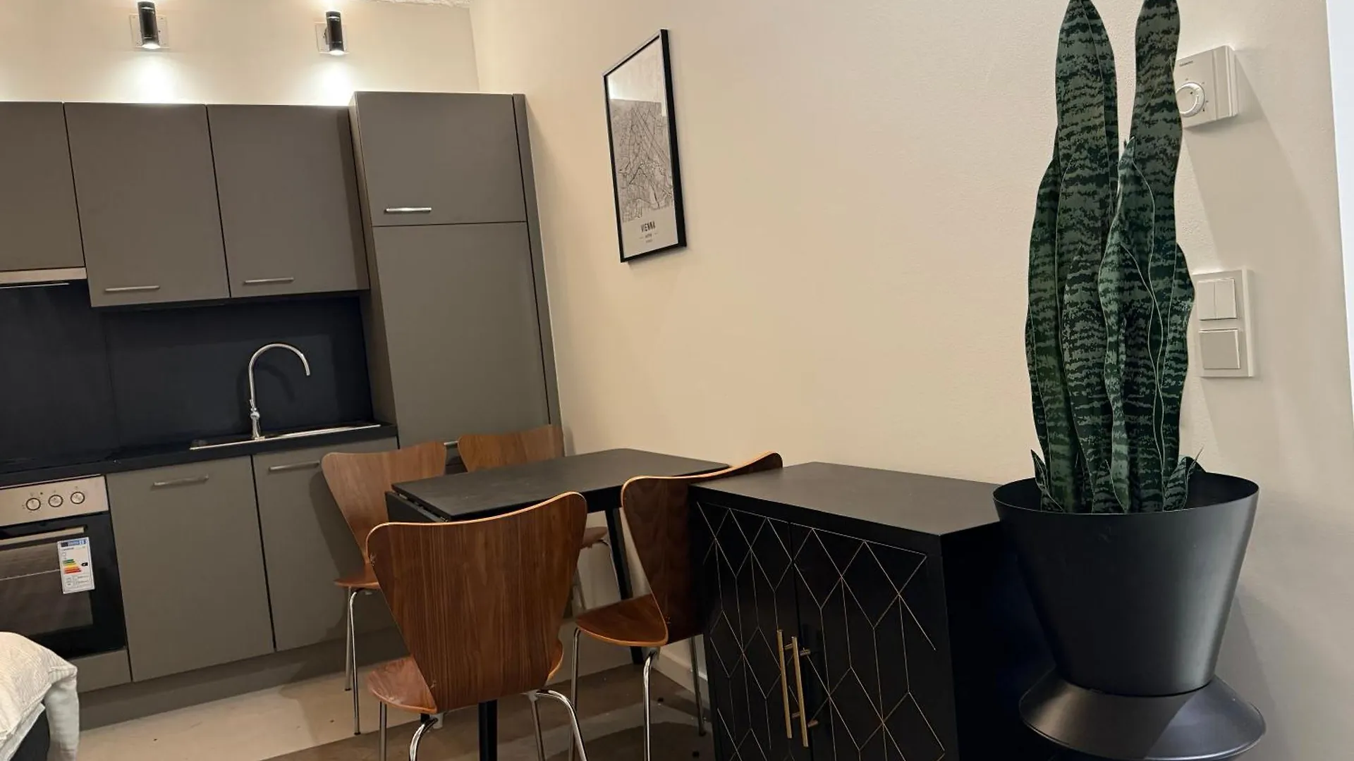 Renovated Premium Central Apartment Vienna Austria